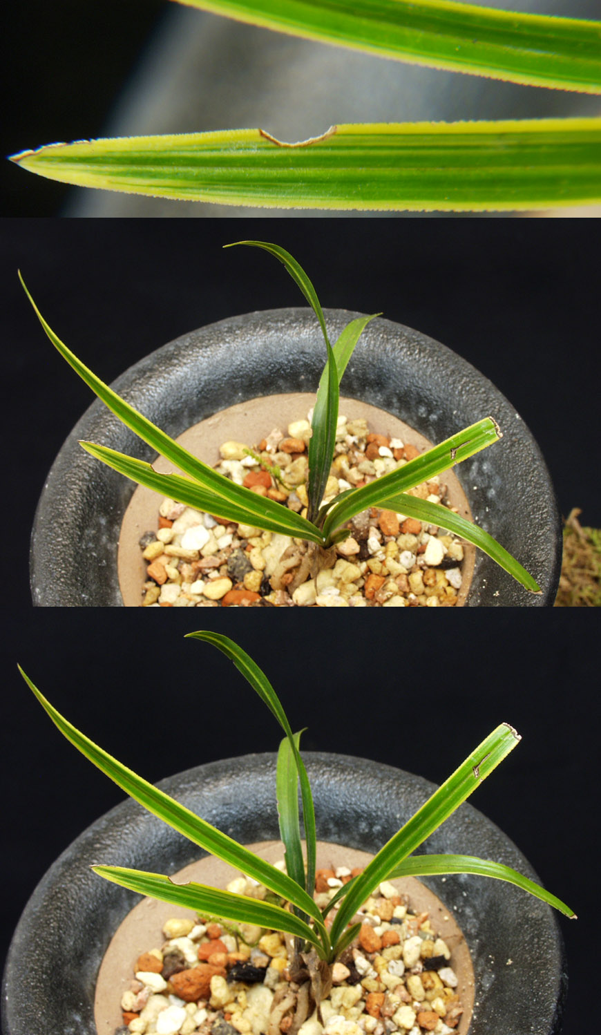 ������ ū������ �� �� �ֽ��ϴ�.