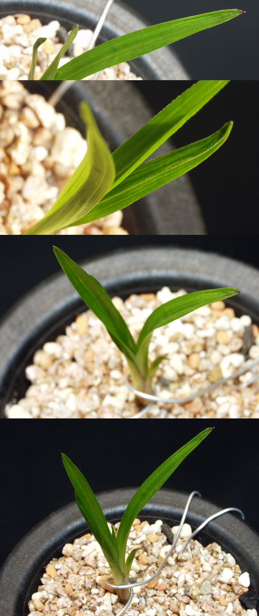 ������ ū������ �� �� �ֽ��ϴ�.