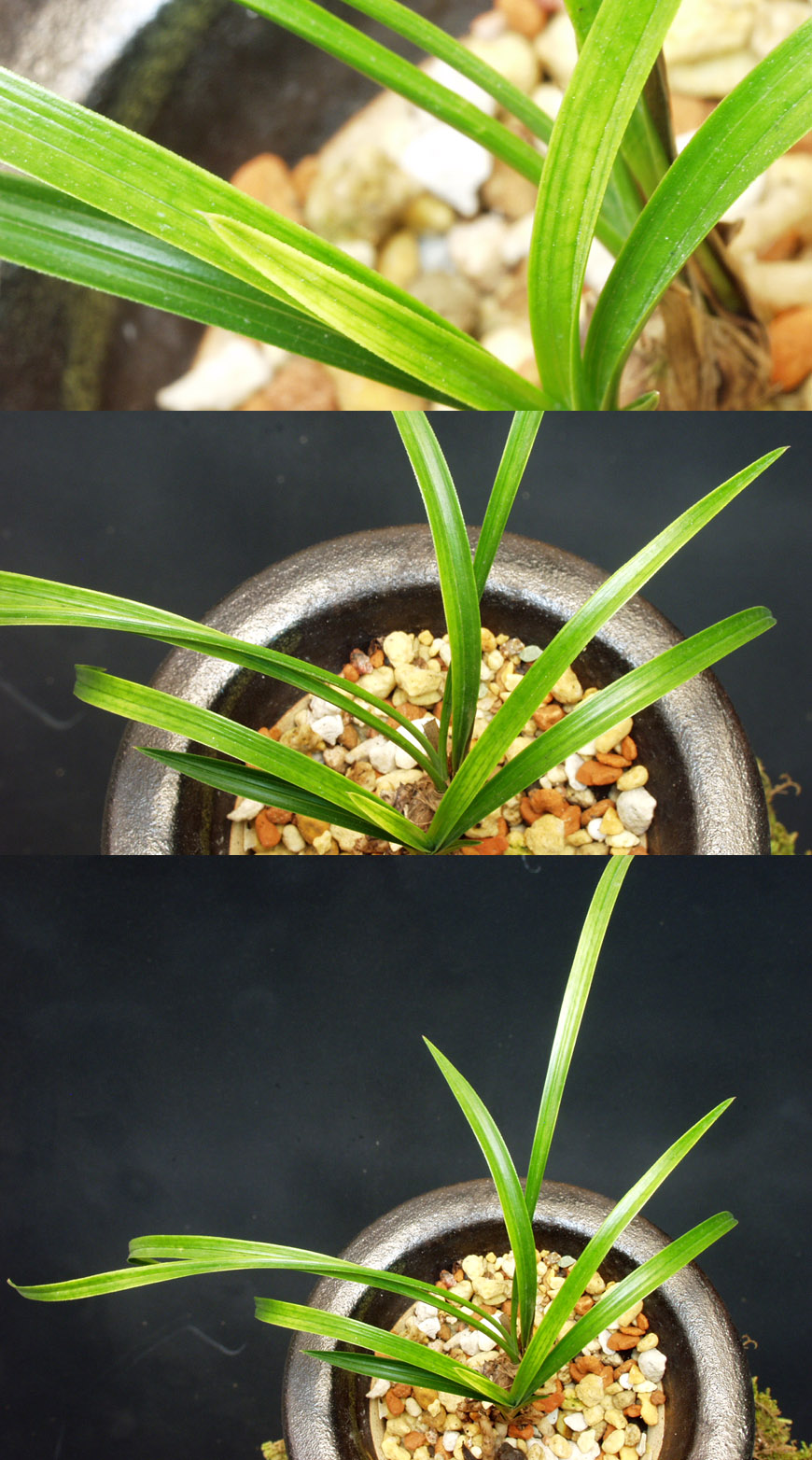 ������ ū������ �� �� �ֽ��ϴ�.