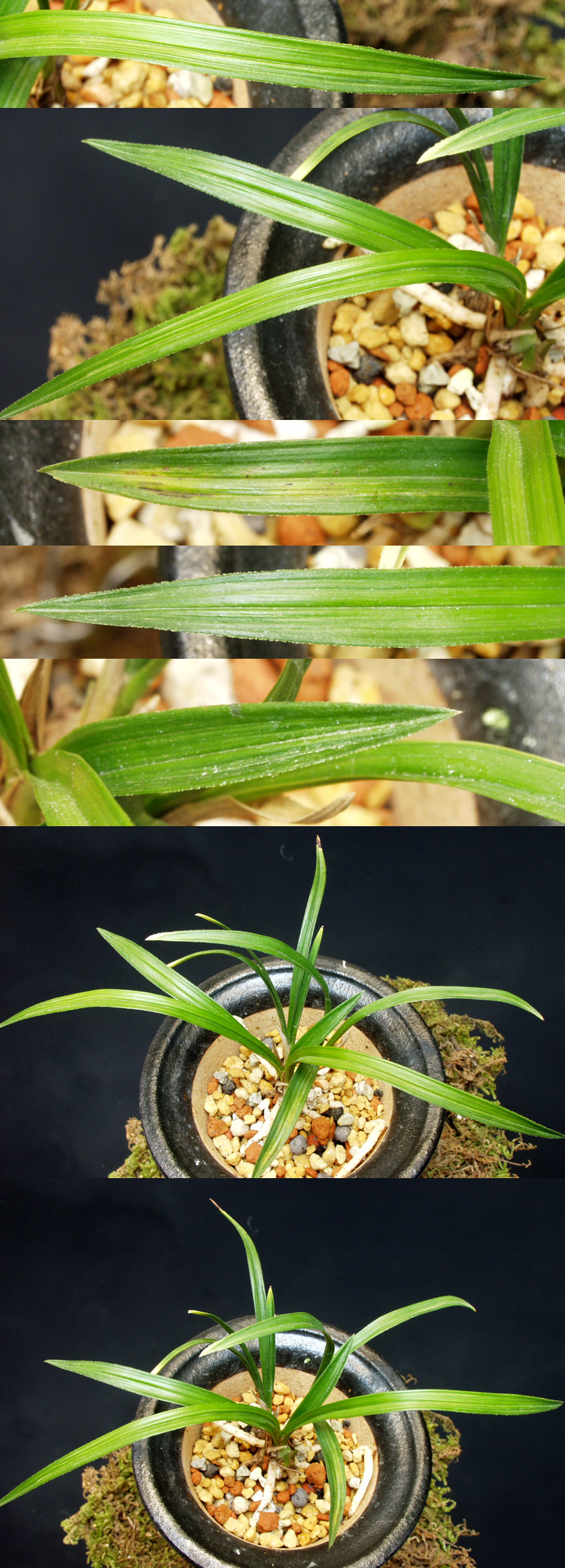 ������ ū������ �� �� �ֽ��ϴ�.