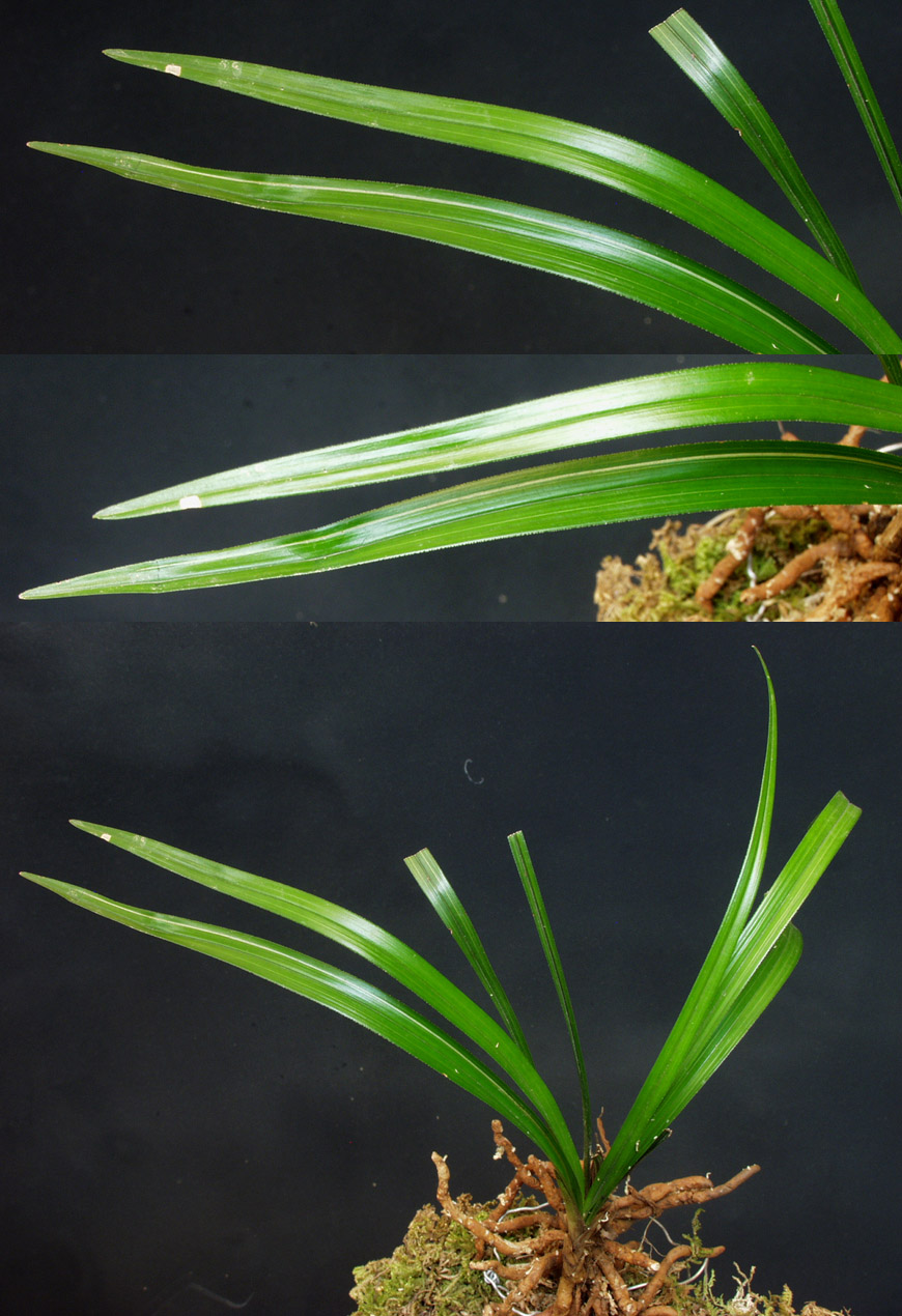 ������ ū������ �� �� �ֽ��ϴ�.