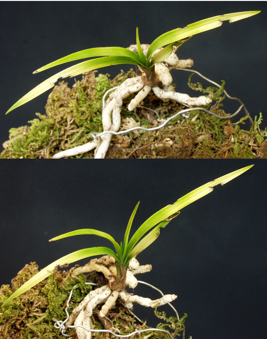 ������ ū������ �� �� �ֽ��ϴ�.