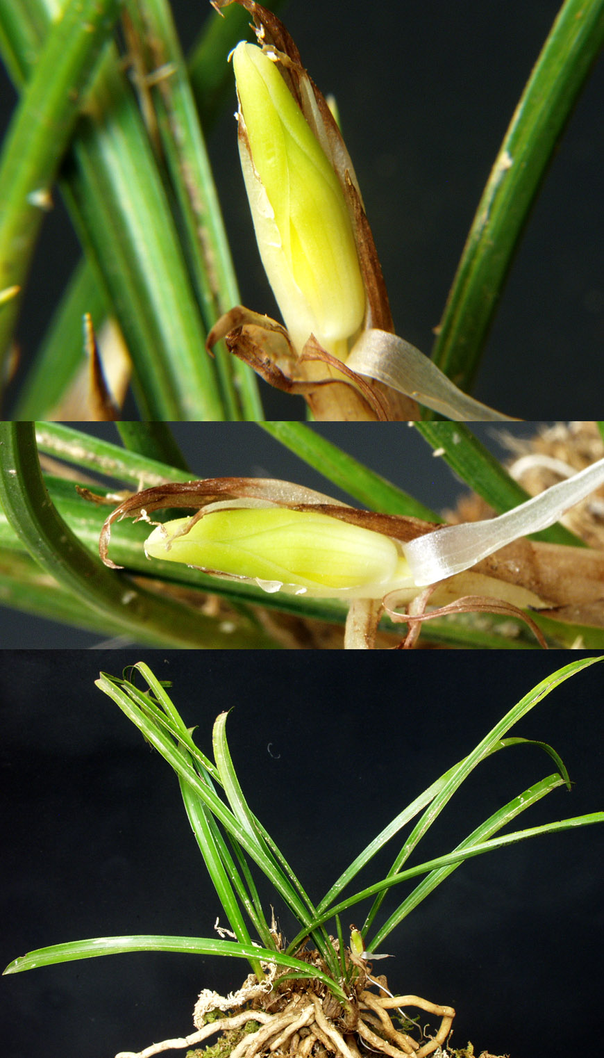 ������ ū������ �� �� �ֽ��ϴ�.