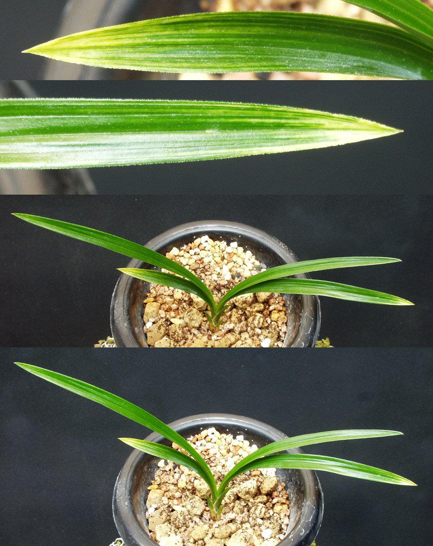 ������ ū������ �� �� �ֽ��ϴ�.