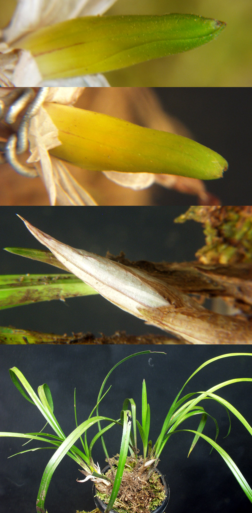 ������ ū������ �� �� �ֽ��ϴ�.