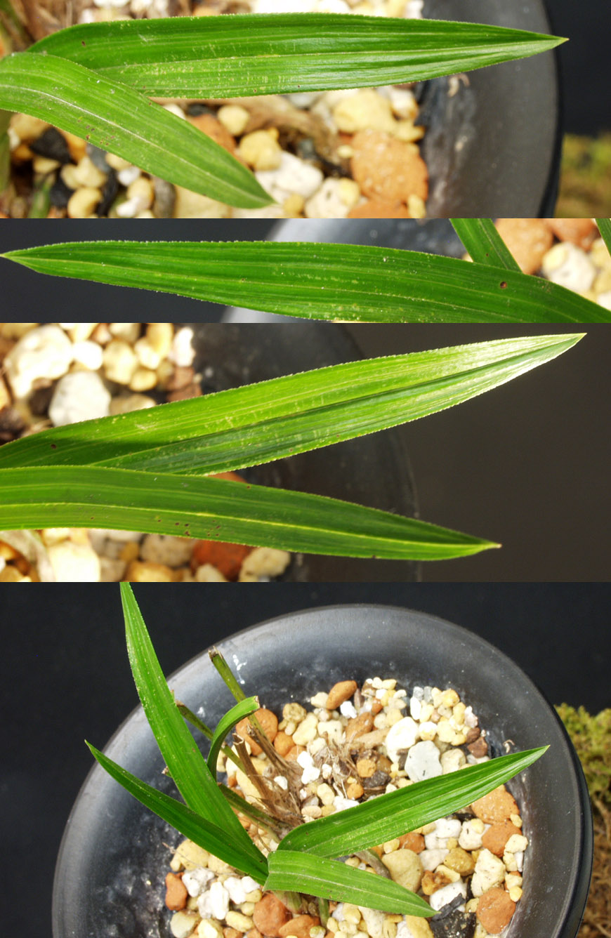 ������ ū������ �� �� �ֽ��ϴ�.