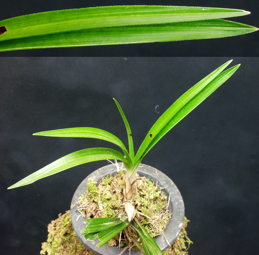 ������ ū������ �� �� �ֽ��ϴ�.