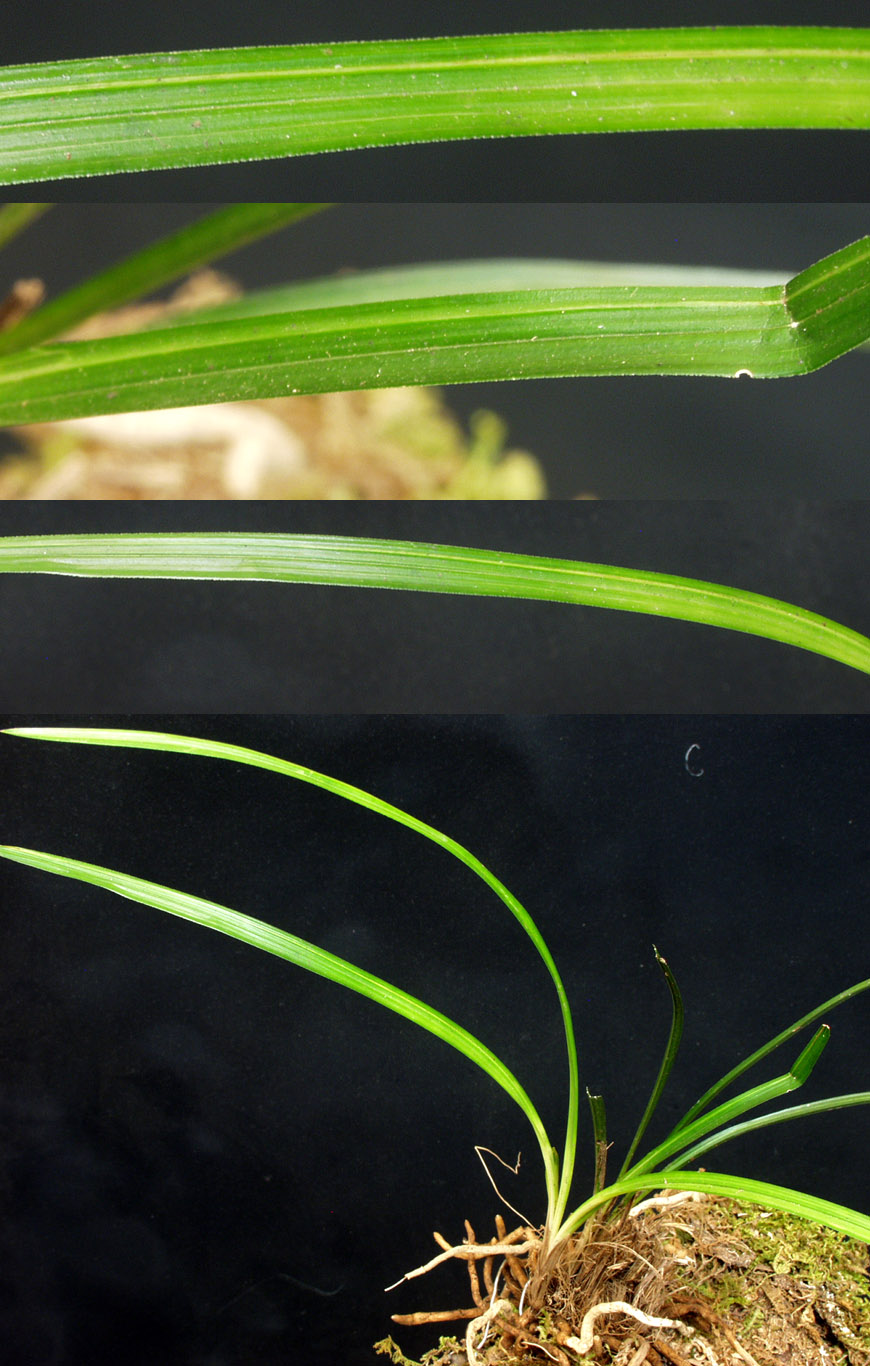 ������ ū������ �� �� �ֽ��ϴ�.