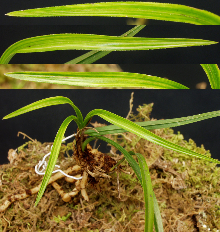 ������ ū������ �� �� �ֽ��ϴ�.