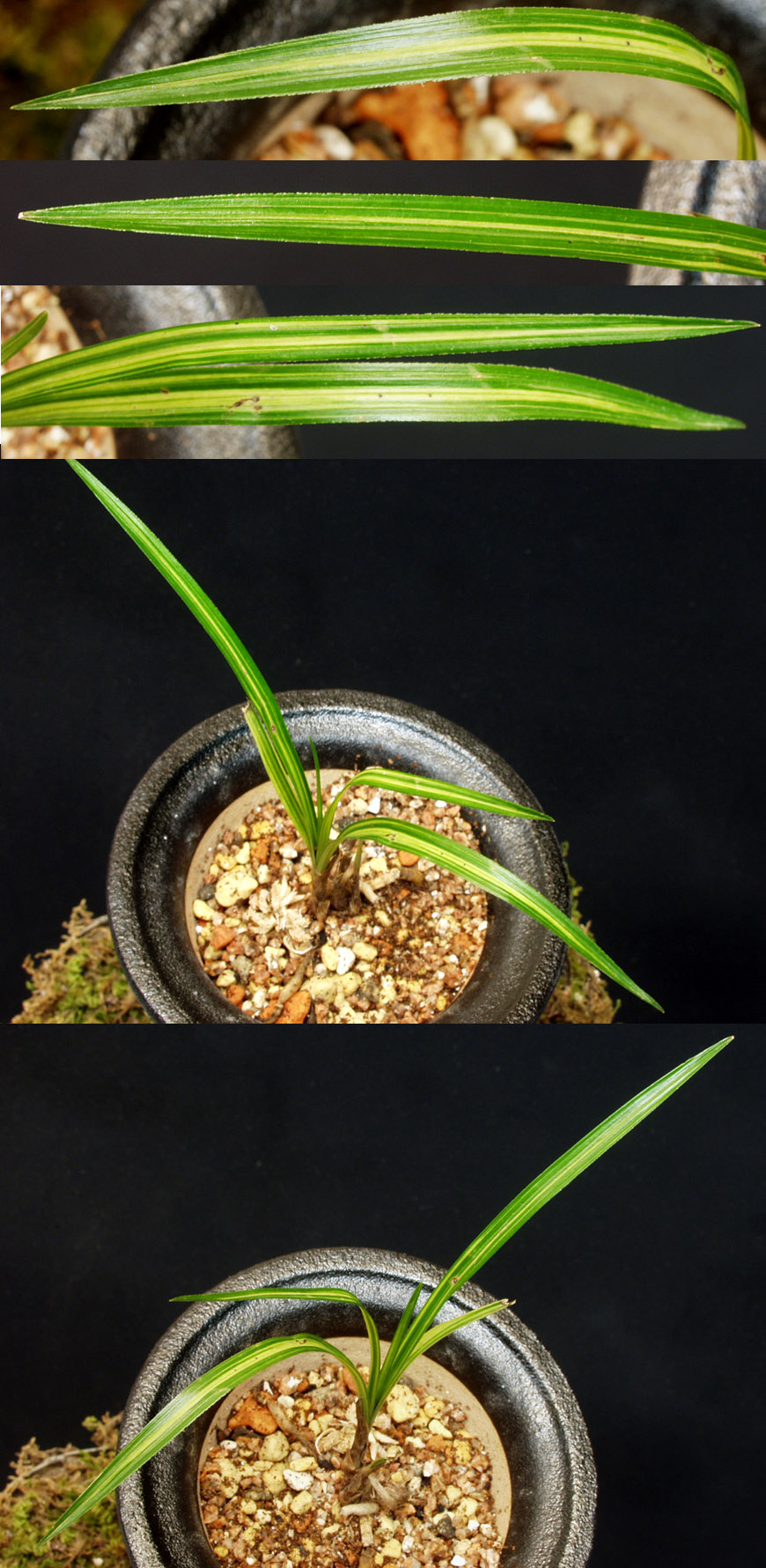 ������ ū������ �� �� �ֽ��ϴ�.