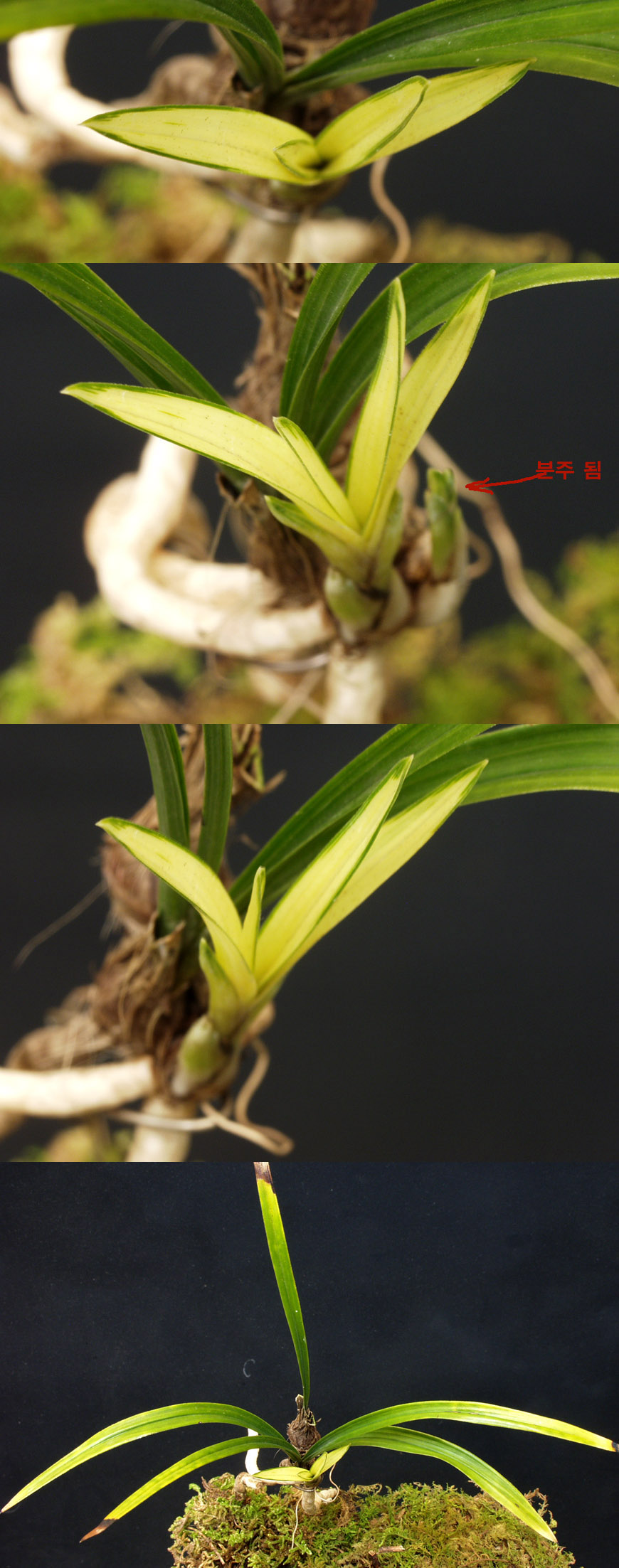 ������ ū������ �� �� �ֽ��ϴ�.