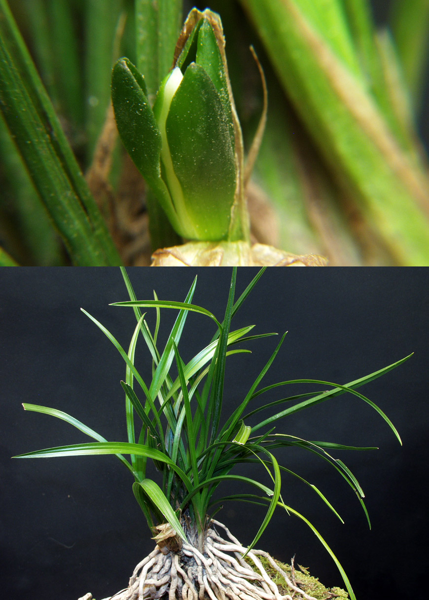 ������ ū������ �� �� �ֽ��ϴ�.