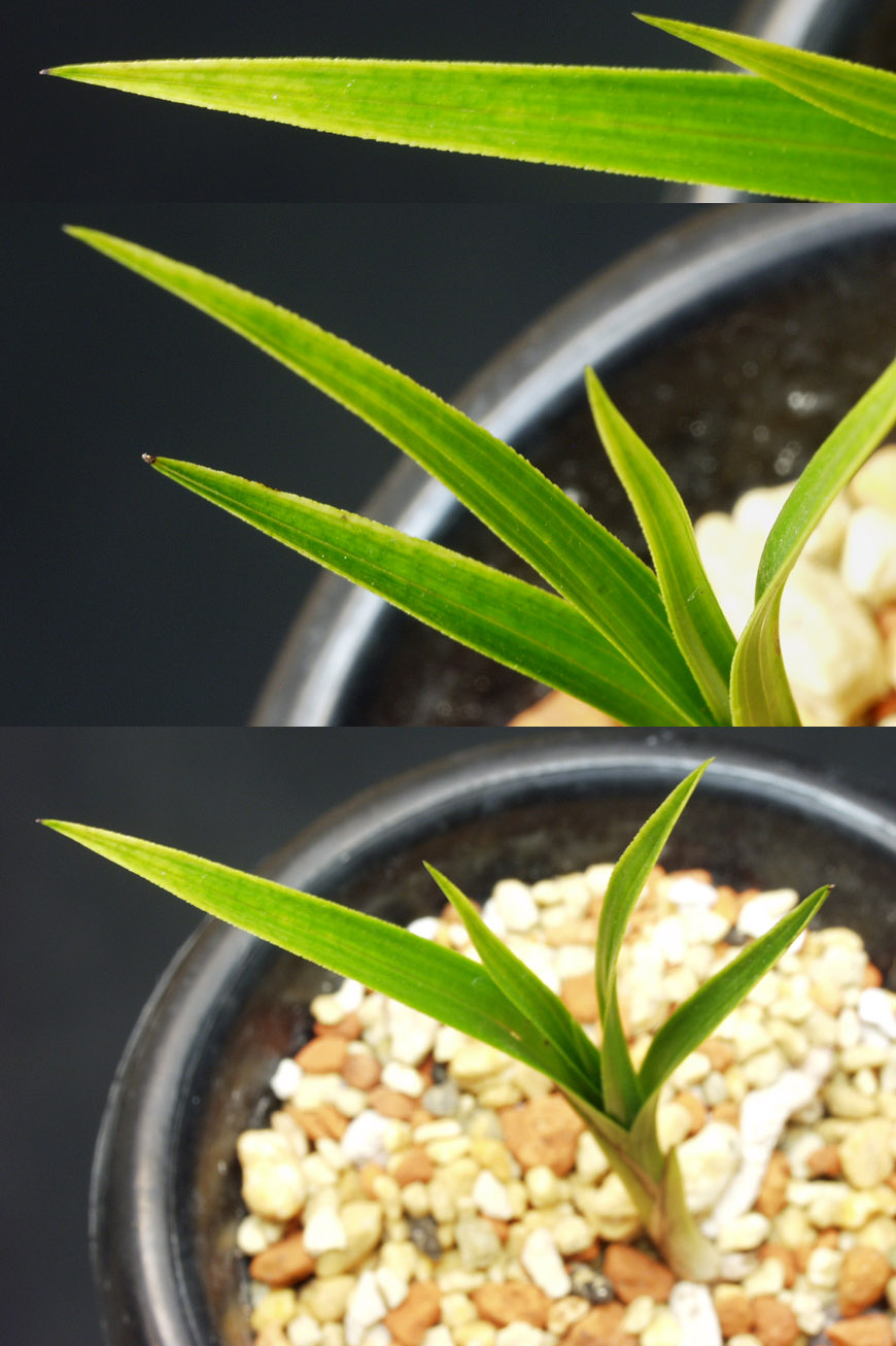 ������ ū������ �� �� �ֽ��ϴ�.