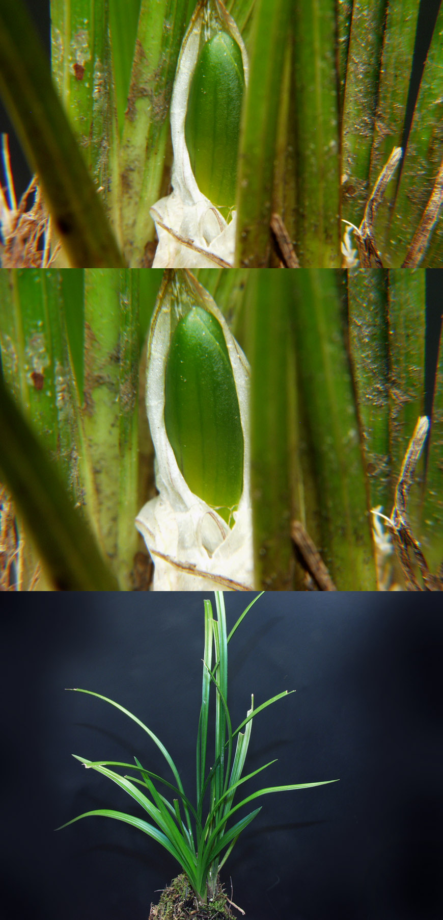 ������ ū������ �� �� �ֽ��ϴ�.