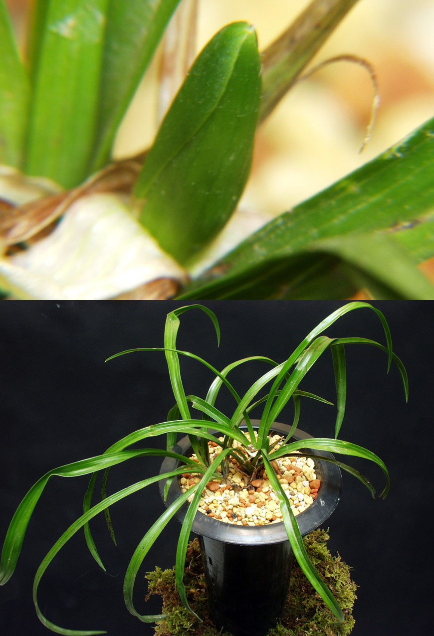 ������ ū������ �� �� �ֽ��ϴ�.