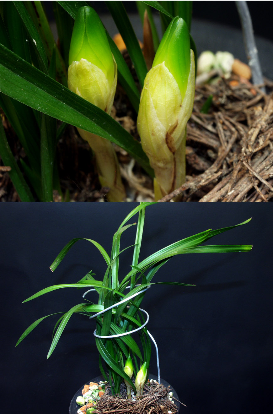 ������ ū������ �� �� �ֽ��ϴ�.