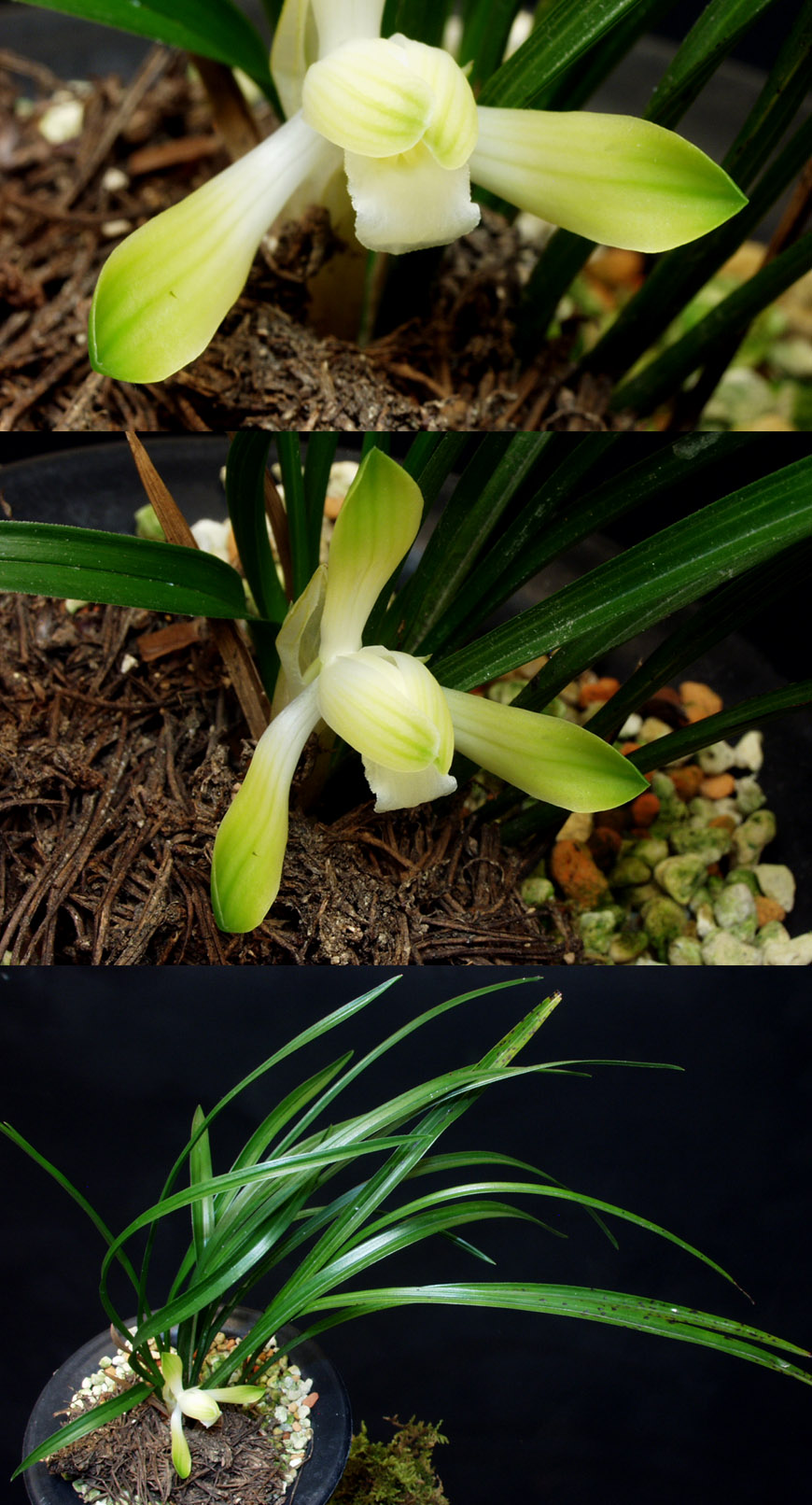 ������ ū������ �� �� �ֽ��ϴ�.