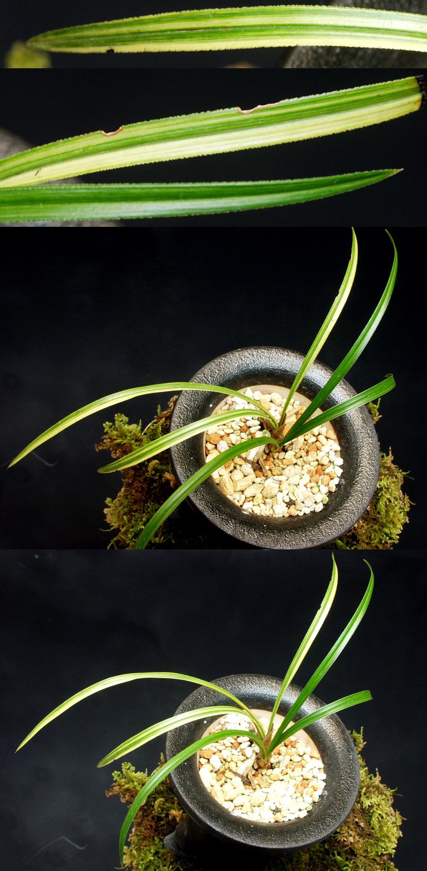 ������ ū������ �� �� �ֽ��ϴ�.