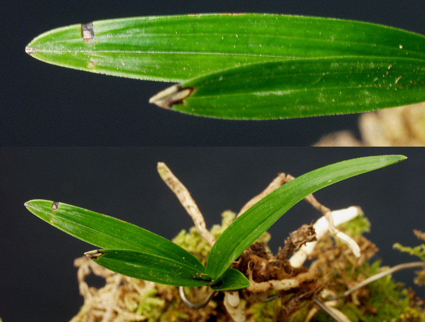 ������ ū������ �� �� �ֽ��ϴ�.