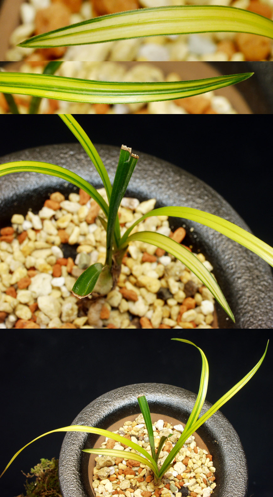 ������ ū������ �� �� �ֽ��ϴ�.