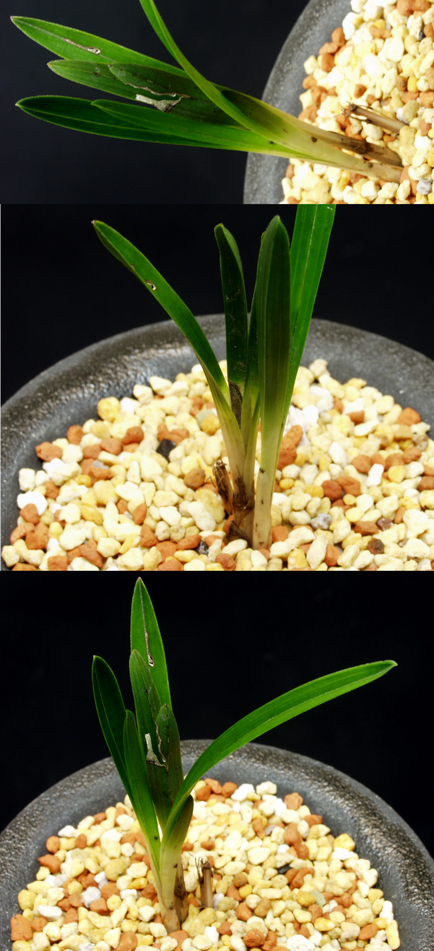 ������ ū������ �� �� �ֽ��ϴ�.