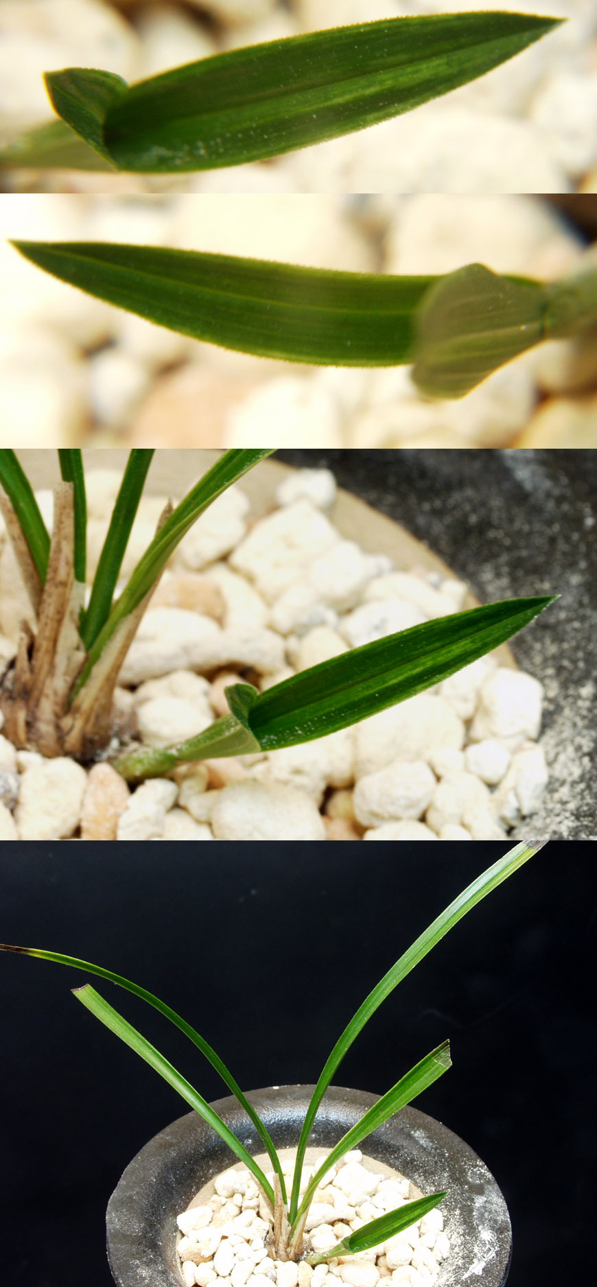 ������ ū������ �� �� �ֽ��ϴ�.