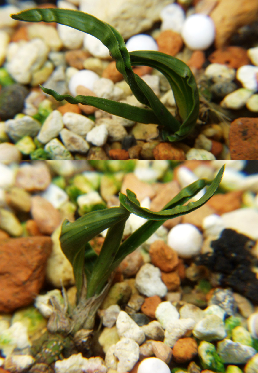 ������ ū������ �� �� �ֽ��ϴ�.