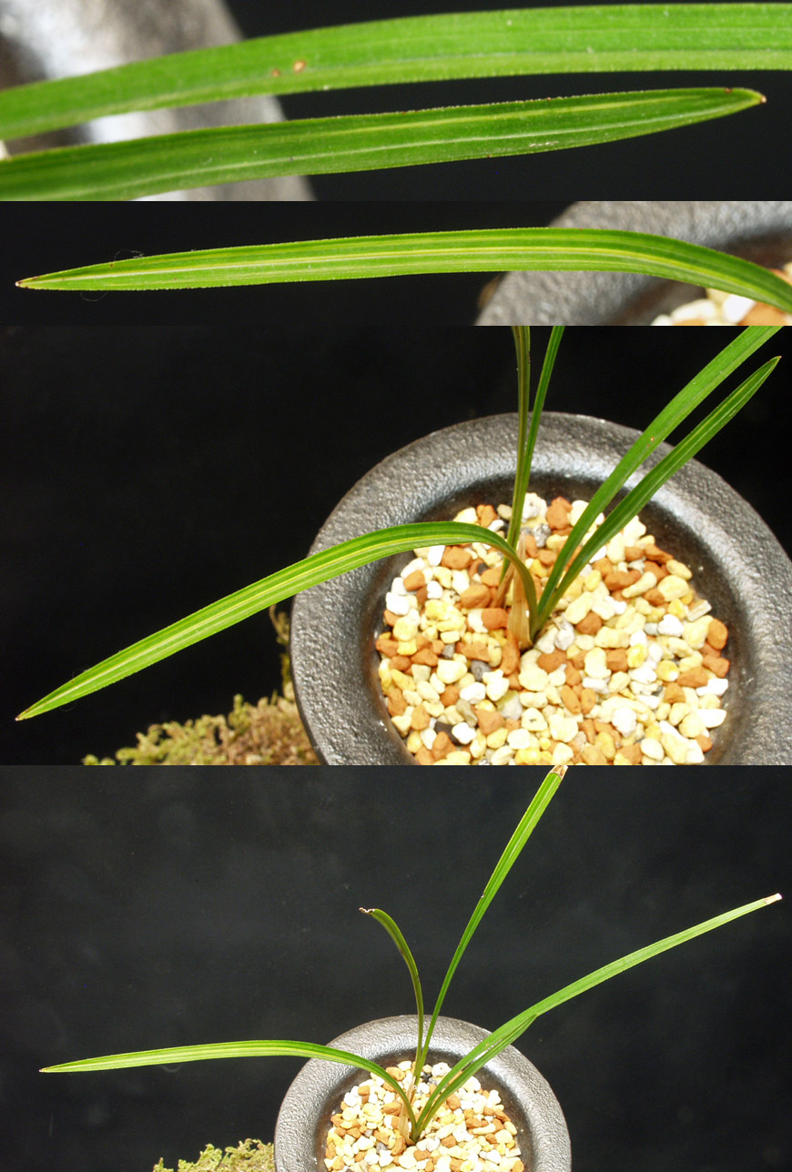 ������ ū������ �� �� �ֽ��ϴ�.