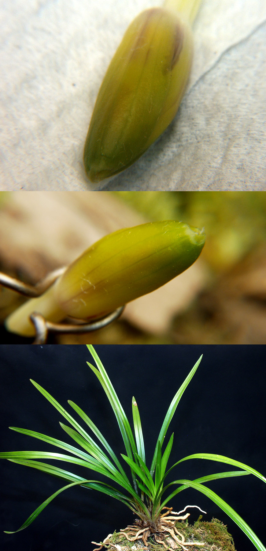 ������ ū������ �� �� �ֽ��ϴ�.