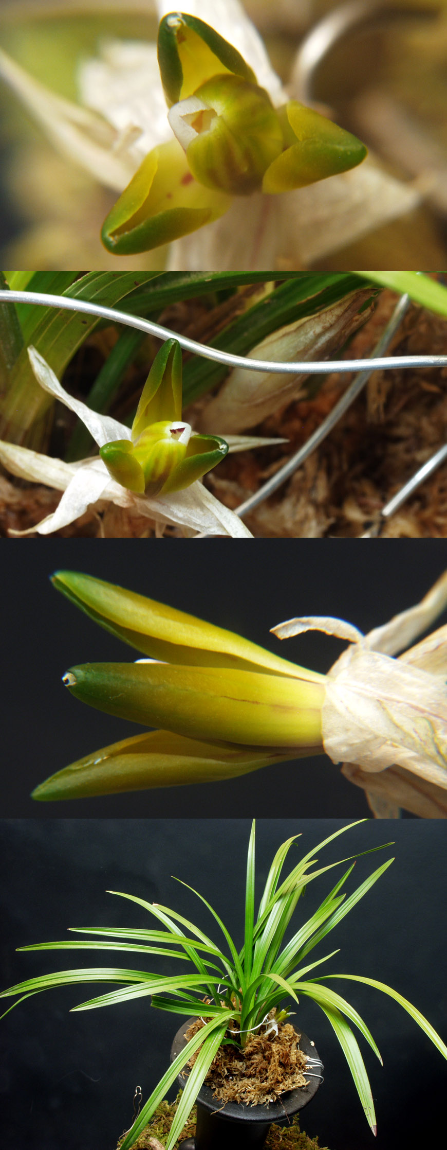 ������ ū������ �� �� �ֽ��ϴ�.