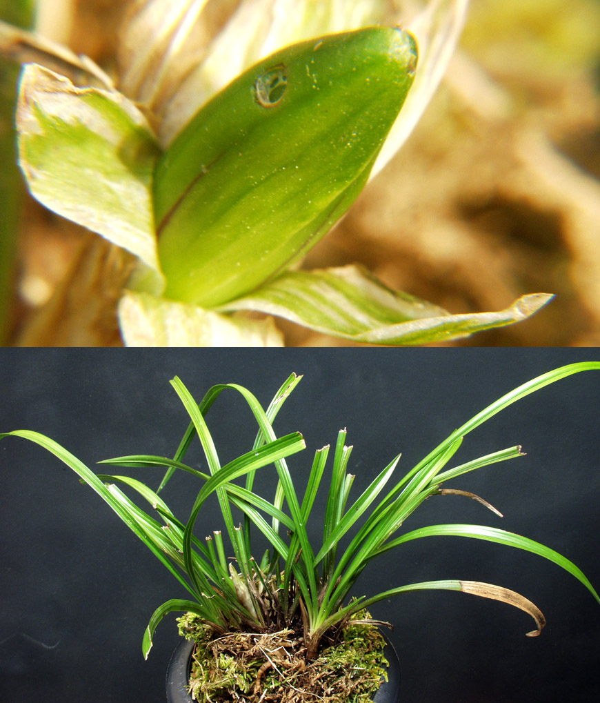 ������ ū������ �� �� �ֽ��ϴ�.