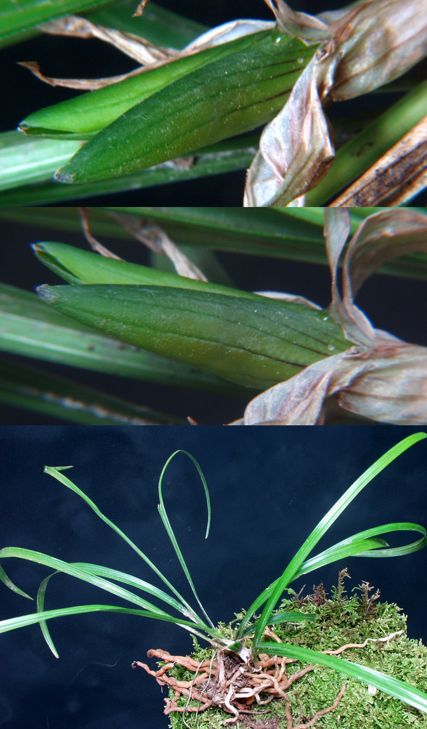 ������ ū������ �� �� �ֽ��ϴ�.