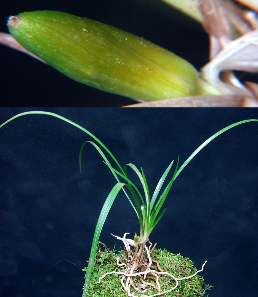 ������ ū������ �� �� �ֽ��ϴ�.