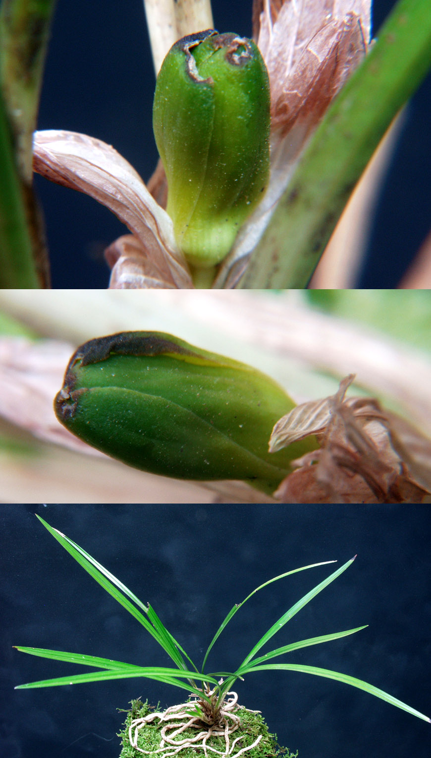 ������ ū������ �� �� �ֽ��ϴ�.