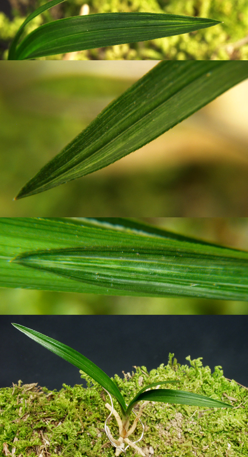 ������ ū������ �� �� �ֽ��ϴ�.