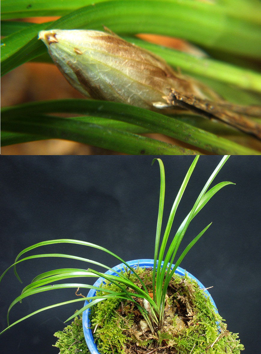 ������ ū������ �� �� �ֽ��ϴ�.