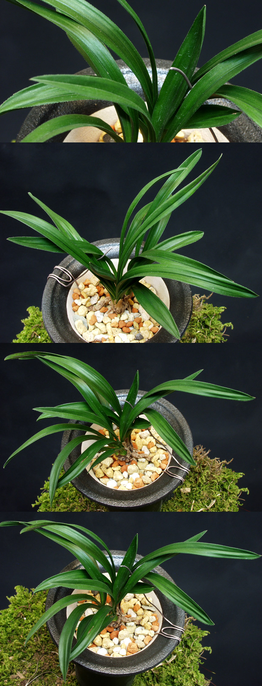 ������ ū������ �� �� �ֽ��ϴ�.