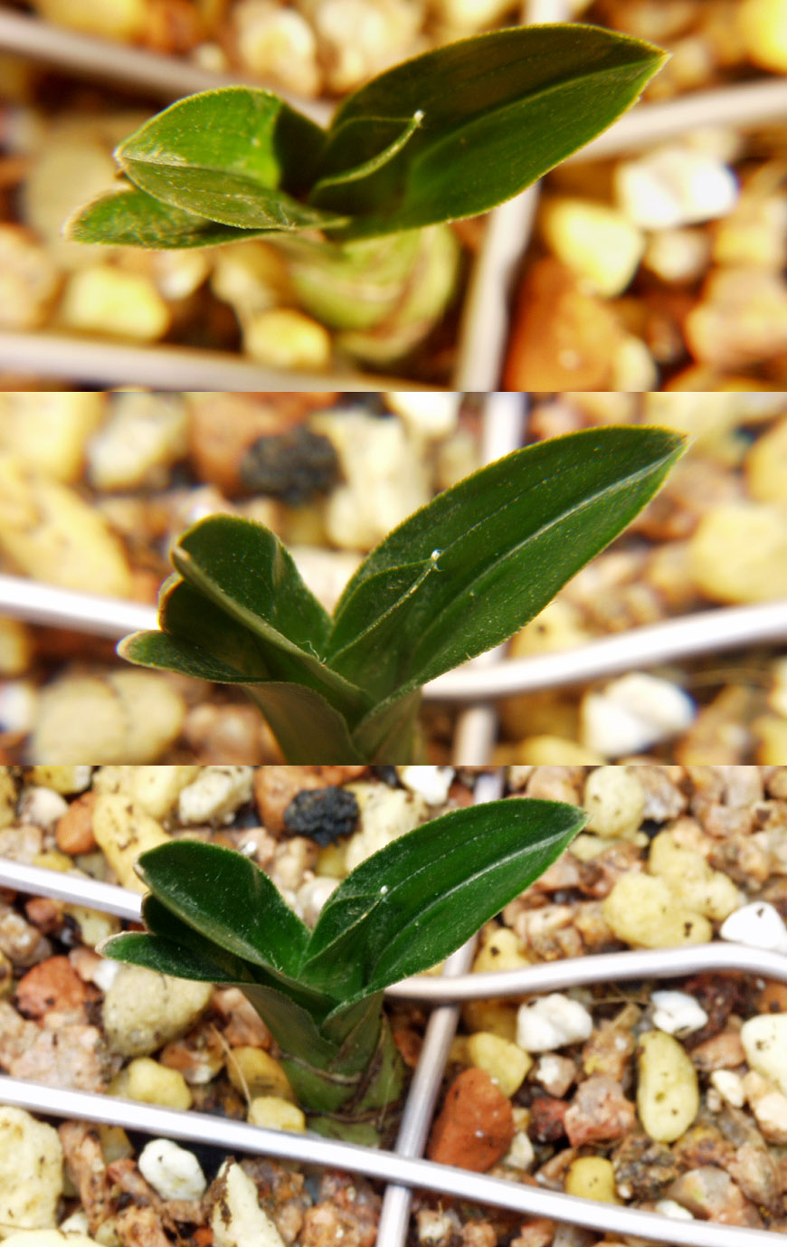 ������ ū������ �� �� �ֽ��ϴ�.