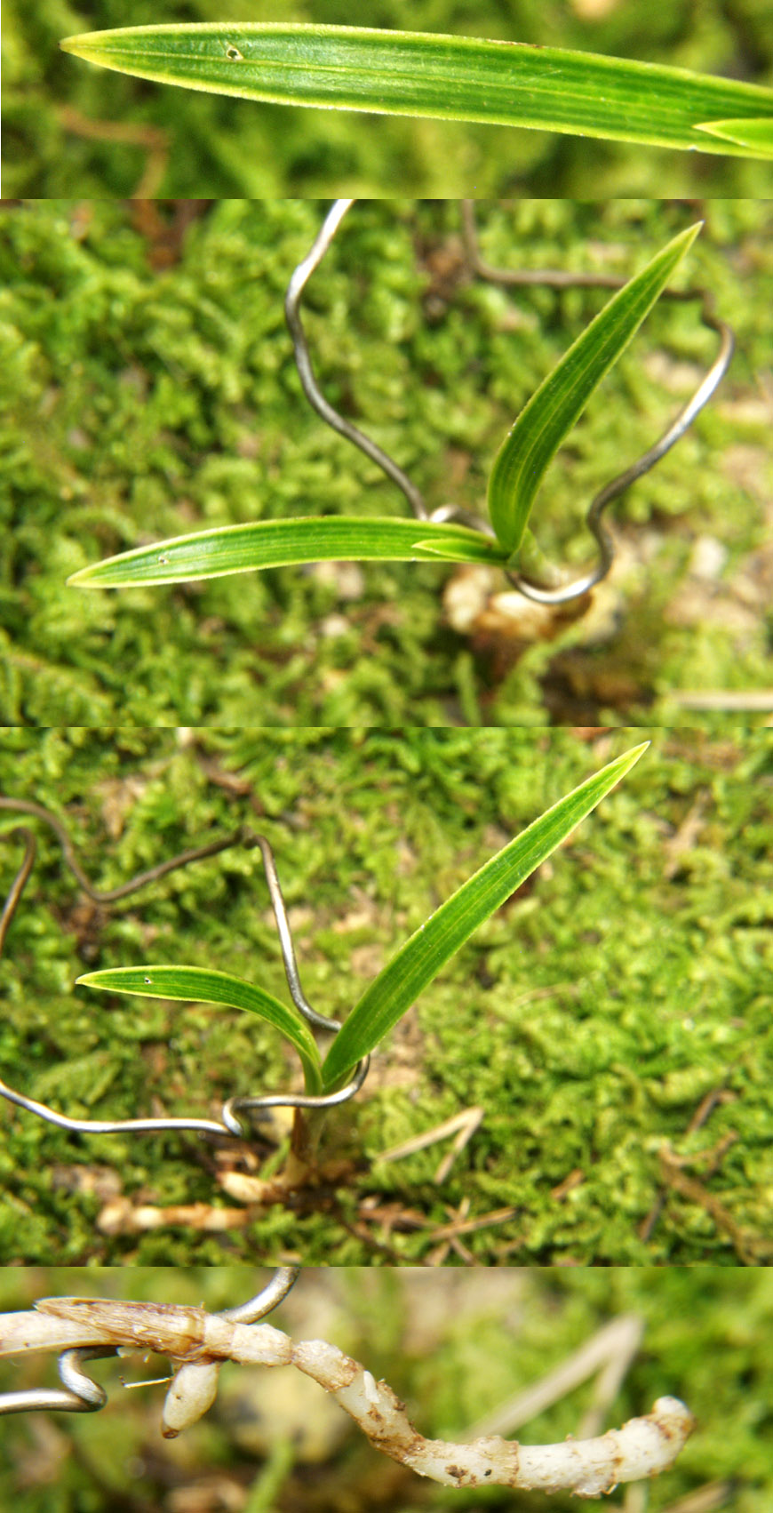 ������ ū������ �� �� �ֽ��ϴ�.