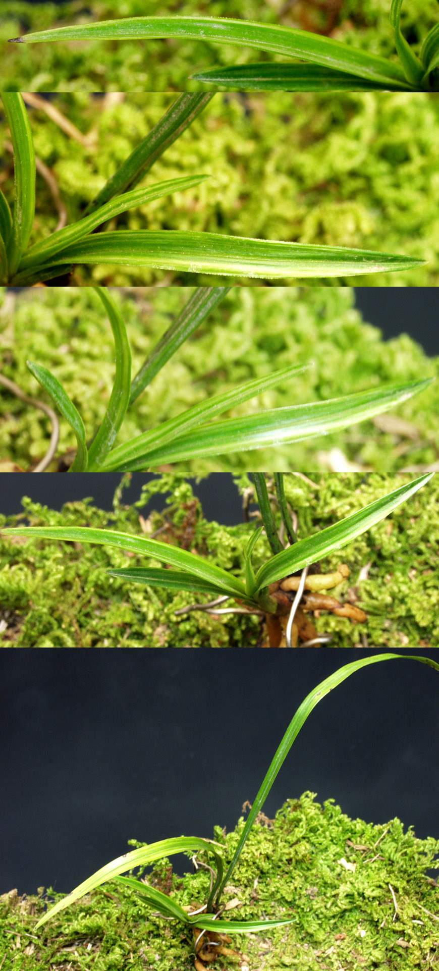 ������ ū������ �� �� �ֽ��ϴ�.