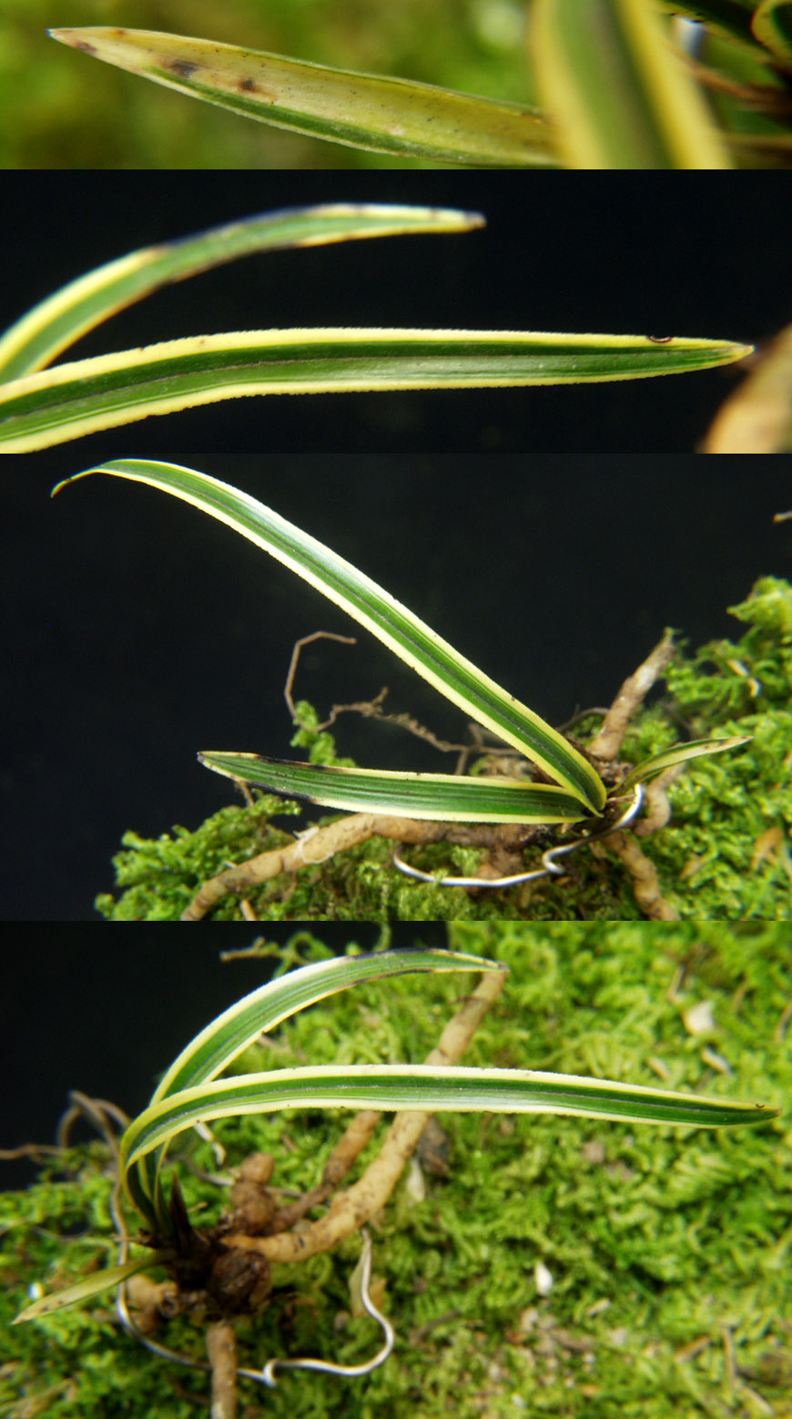 ������ ū������ �� �� �ֽ��ϴ�.