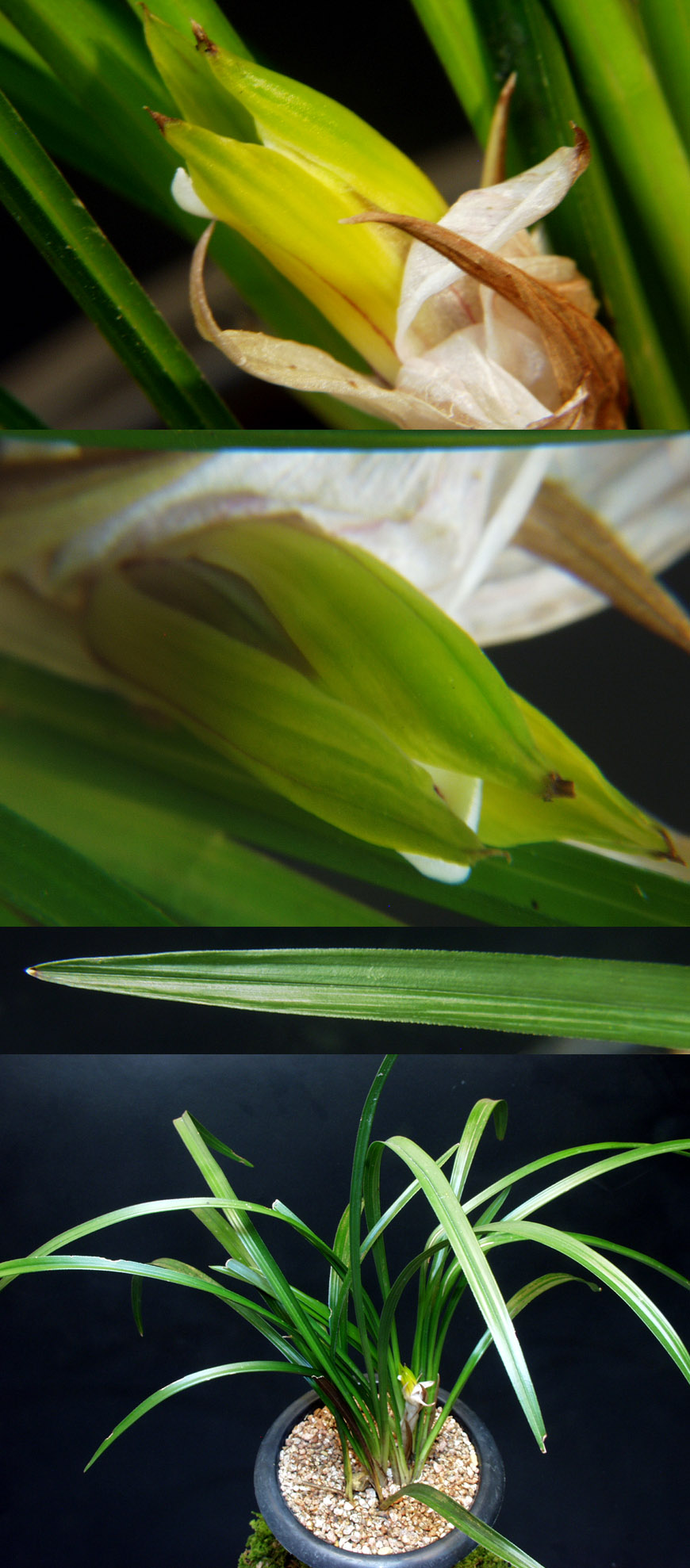 ������ ū������ �� �� �ֽ��ϴ�.