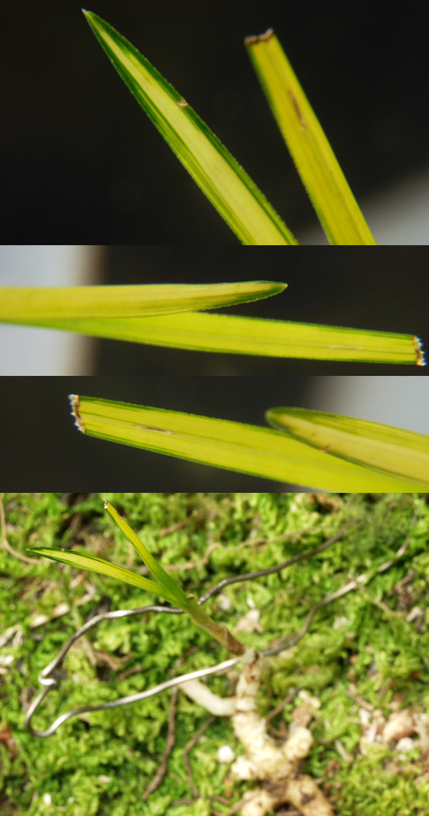 ������ ū������ �� �� �ֽ��ϴ�.