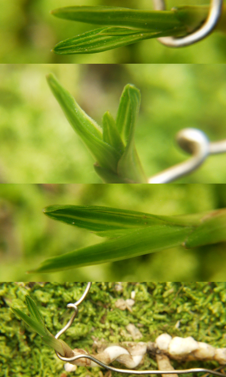 ������ ū������ �� �� �ֽ��ϴ�.