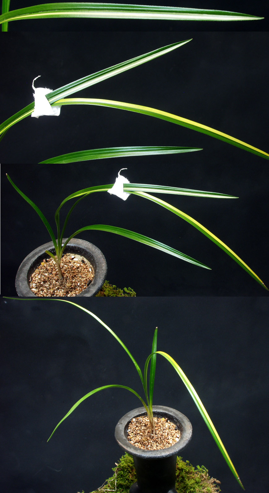 ������ ū������ �� �� �ֽ��ϴ�.