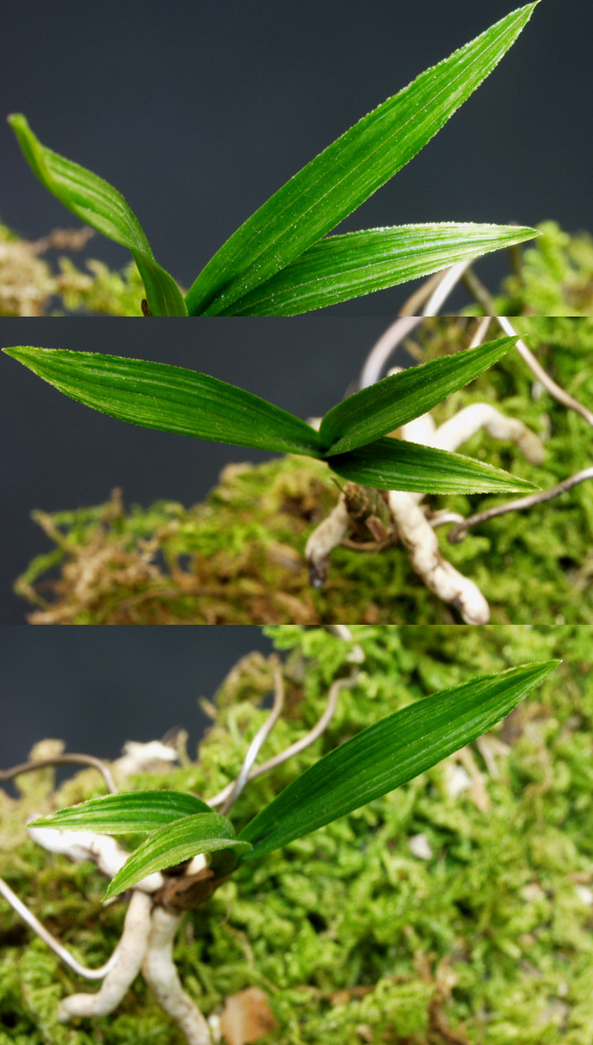 ������ ū������ �� �� �ֽ��ϴ�.