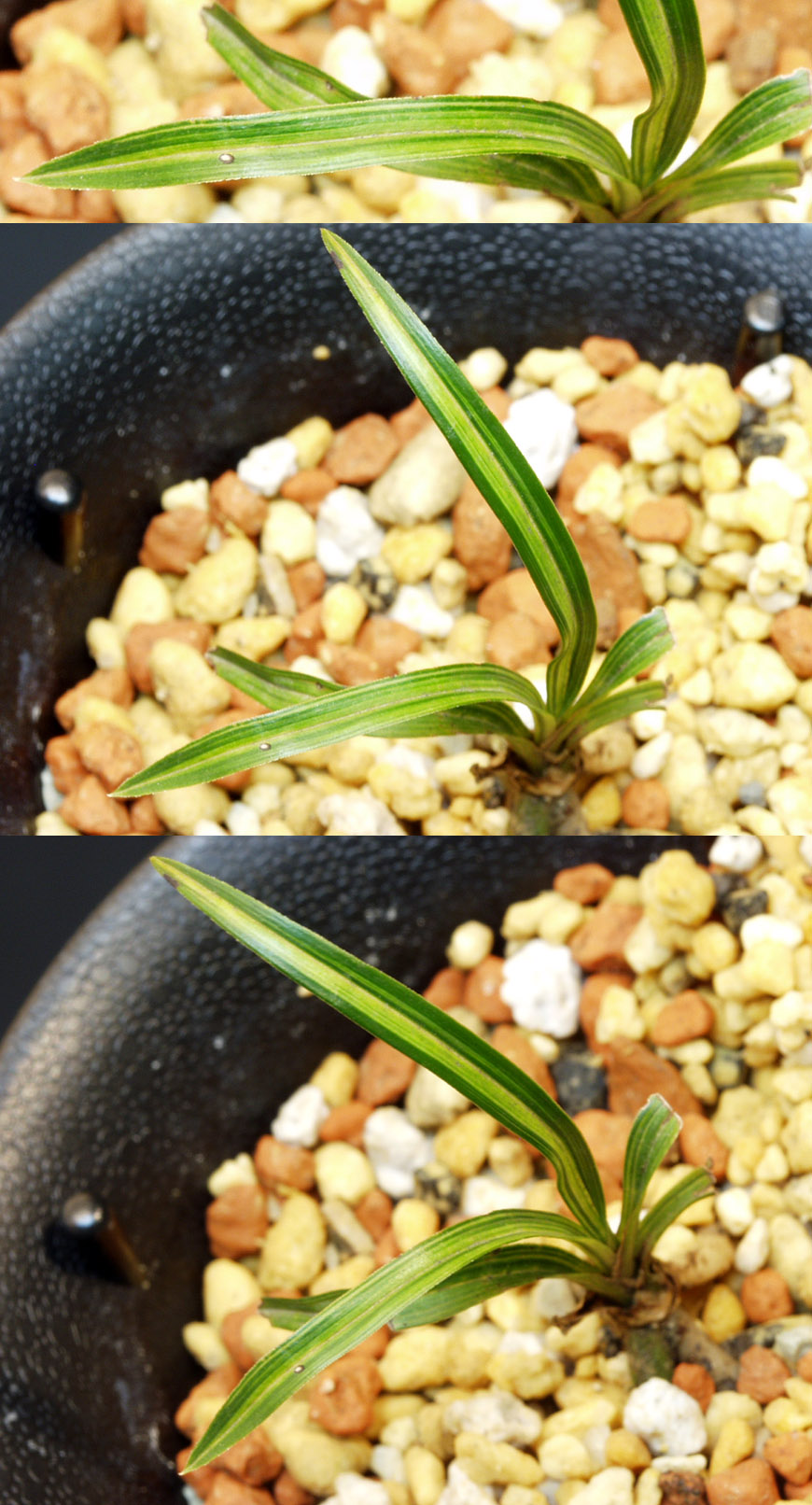 ������ ū������ �� �� �ֽ��ϴ�.