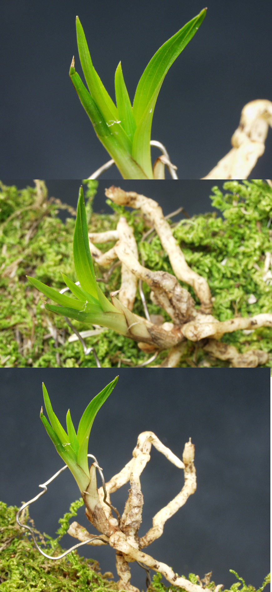 ������ ū������ �� �� �ֽ��ϴ�.