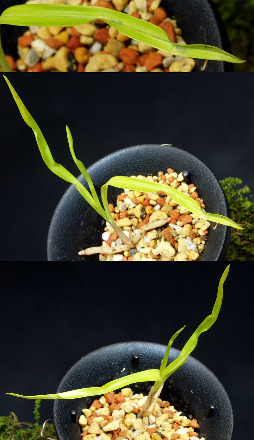 ������ ū������ �� �� �ֽ��ϴ�.