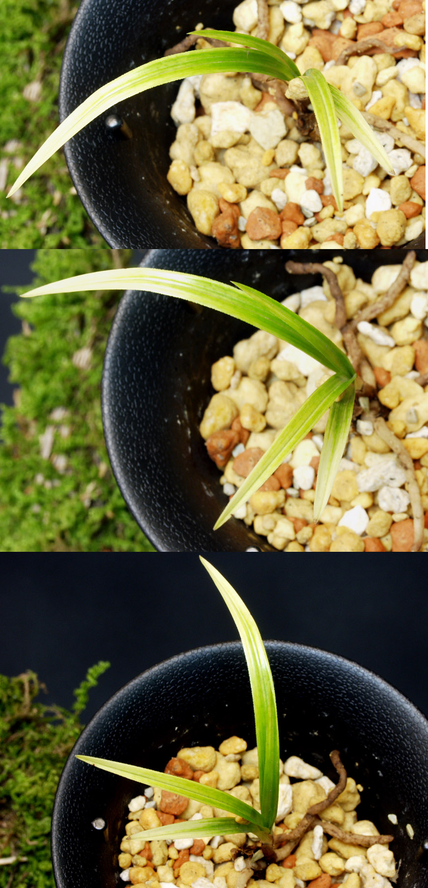 ������ ū������ �� �� �ֽ��ϴ�.